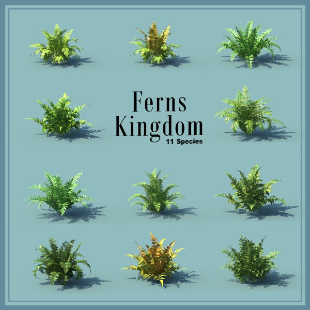 ferns kingdom 11 species 3D 모델 .c4d .max .obj .3ds .fbx .stl .blend 