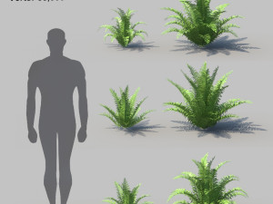 ferns kingdom 11 species 3D 모델