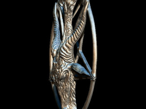 medallion depicting the deity baphomet that the knights templar were accused of worshipping file Modello 3D