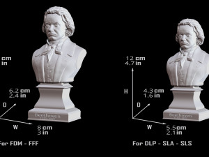 Ludwig van Beethoven Bust Model Printing Miniature Assembly File STL-OBJ for 3D Printer Model Cetak 3D