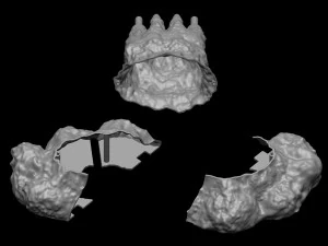Artemis 1 Il sistema di lancio spaziale SLS Il razzo lunare della NASA decolla con lampada e piedistallo File STL-OB Modello di stampa 3D