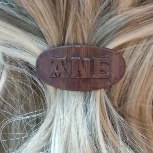 ane personalized oval hair barrete 50-40 Modelo de Impressão 3D .c4d .max .obj .3ds .fbx .stl .blend 