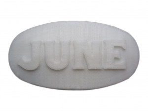 june personalized oval hair barrete 50-40 Modello di stampa 3D