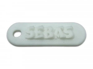 sebas 3d keychain 3D Print Model
