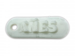 anes 3d keychain 3D Print Model