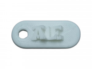 ale 3d keychain 3D Принт Модель