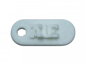ale 3d keychain 3D Print Model