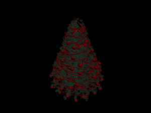 christmas tree 3D मॉडल