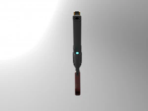 last word destiny 2 3D Print Model