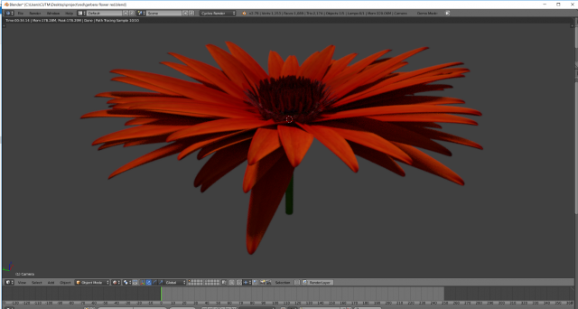 gerebera flower 3D Model .c4d .max .obj .3ds .fbx .stl .blend 