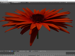 gerebera flower Modello 3D