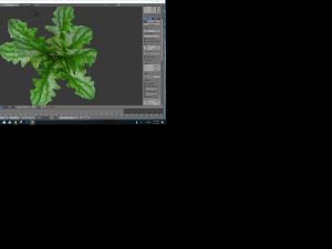 gerbera flower leaf 3Dモデル