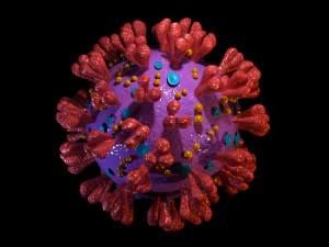 covid 19 3D Model