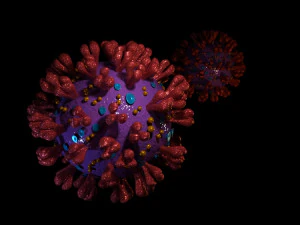 covid 19 3D Model
