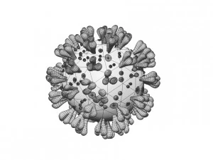 covid 19 3D Model