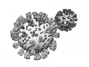 covid 19 3D Модель
