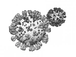 covid 19 3D Model