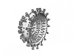 covid 19 3D Model