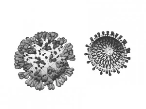 covid 19 3D Model