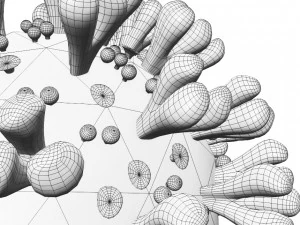 covid 19 3D Model