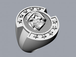 skull rings 01 3D 프린트 모델