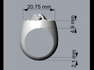 skull rings 01 3D 프린트 모델