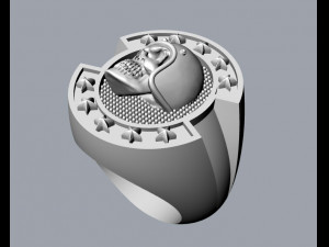 skull rings 01 3D 프린트 모델