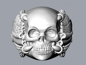 skull rings 02 3D Print Model