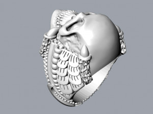 skull rings 02 3D Print Model
