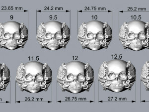 skull rings 02 3D Print Model