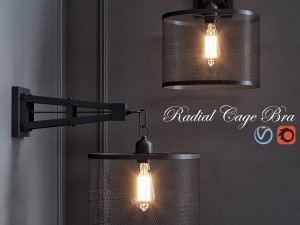radial cage bra 3D 모델