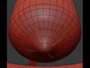 radial cage 3D Model