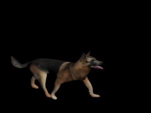 dog 3D 模型