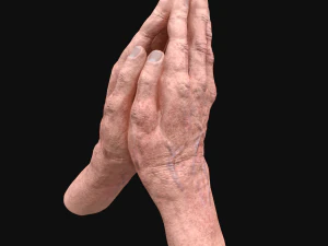 realistic rigged old man hand 3D Model