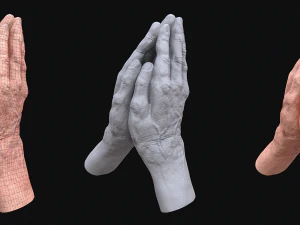 realistic rigged old man hand 3D Model