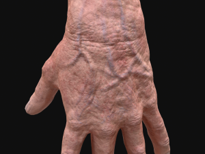 realistic rigged old man hand Model 3D