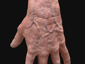 realistic rigged old man hand 3D Model