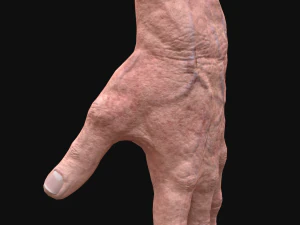 realistic rigged old man hand 3D Model