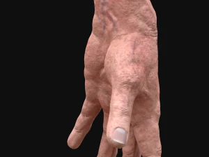realistic rigged old man hand 3D Model