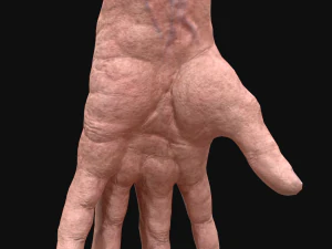 realistic rigged old man hand 3D Model