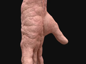 realistic rigged old man hand 3D Model
