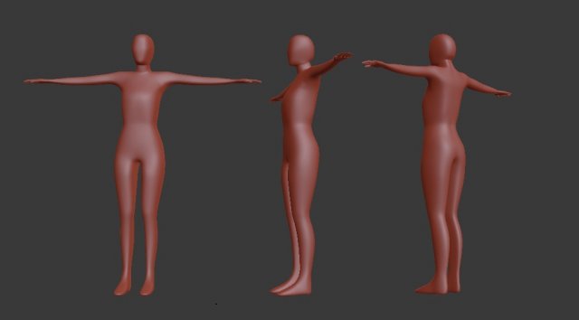 female basic model 3D Model .c4d .max .obj .3ds .fbx .stl .blend