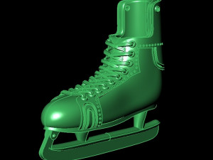 skate model 3D Model