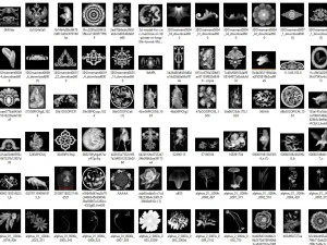 pack de 17 pinceles multialpha y 199 alphas brushes zbrush 3D Print Model