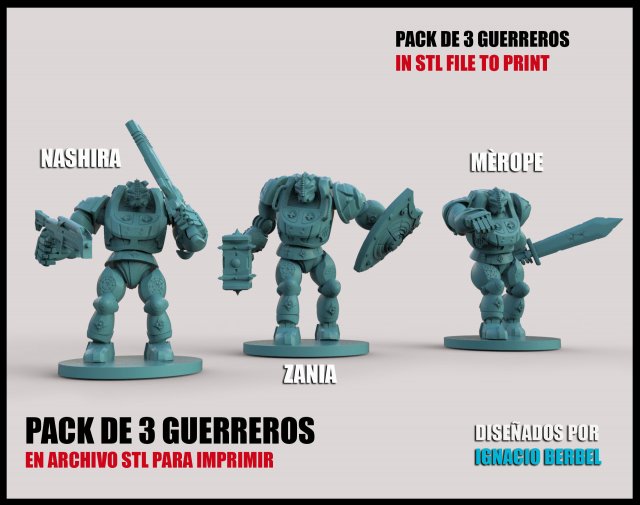 pack de 3 guerreros en stl 3Dプリントモデル .c4d .max .obj .3ds .fbx .stl .blend 
