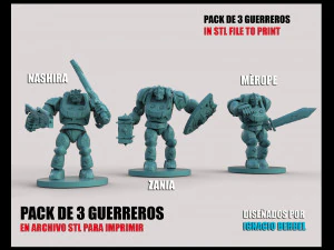 pack de 3 guerreros en stl Modelo de impresión 3D