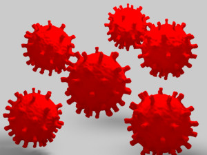 corona virus Model 3D