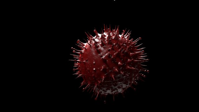 corona virus 3D-Modell .c4d .max .obj .3ds .fbx .stl .blend 