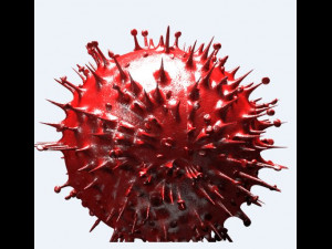 corona virus 3D-Modell