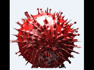 corona virus 3D Model